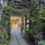 Wisteria Breezeway